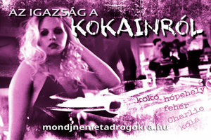 Az igazság a kokainról